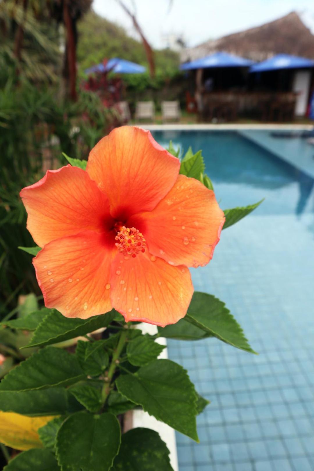 Camurim Inn